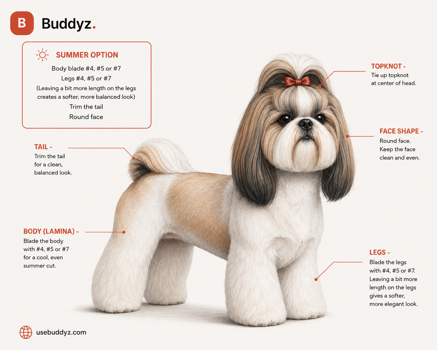 Shih Tzu summer cut grooming reference with blade recommendations